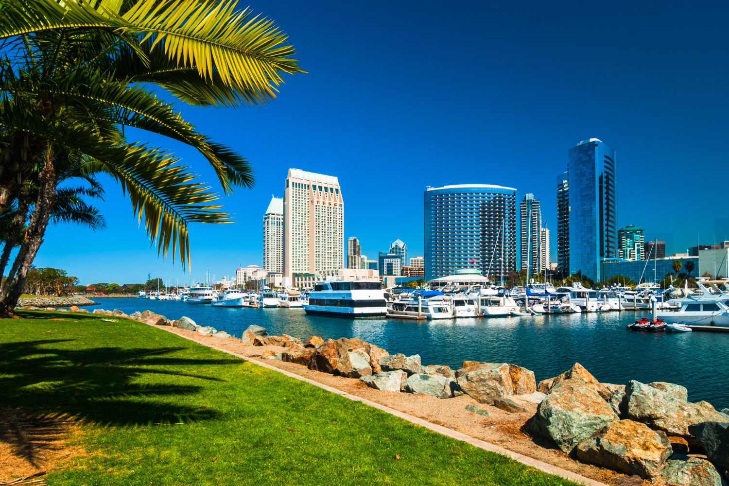 Photo of San Diego